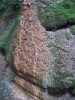 A mésztufa A mésztufa